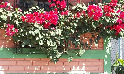 Finding Beauty in El Salvador 1