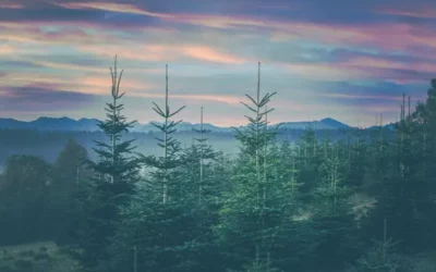 Thoughtfully Beautifully Green