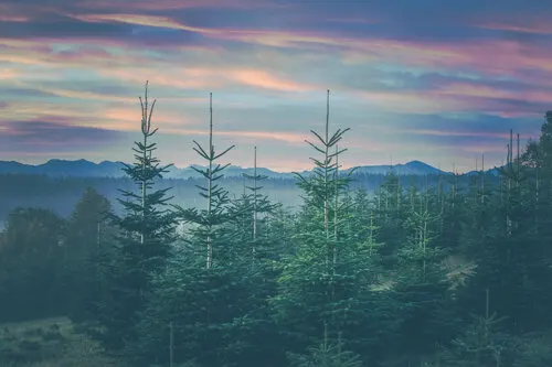 Thoughtfully Beautifully Green